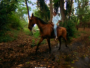 Video of 